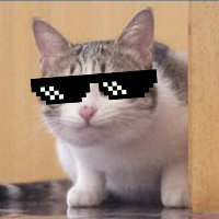 kumashin