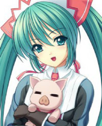新の猪/zt