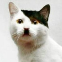 mrsermrs