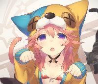 Comi猫