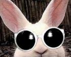 qqwaweqqsqwww