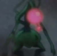 CyclonicPinna
