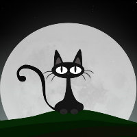 圆月猫