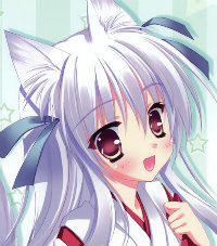 风脑