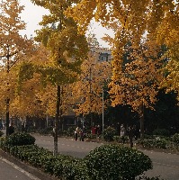 cfws00