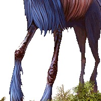 泽东神选