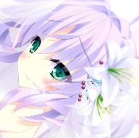 二次元达人